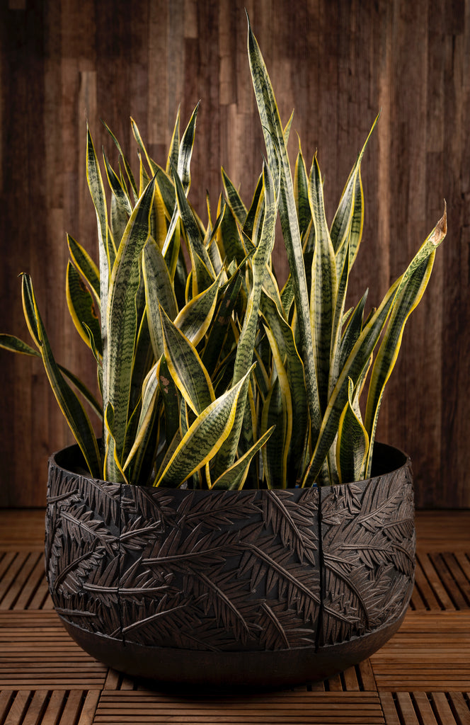 Sienna Planter